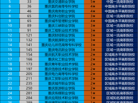 重庆专科学校排名(实力强劲的专科院校推荐)