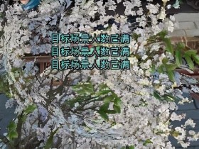 盘点新主城汴京互动玩法和彩蛋,不看你就看OUT了