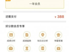 家长付费才能看孩子考试成绩 下载什么可以看孩子成绩