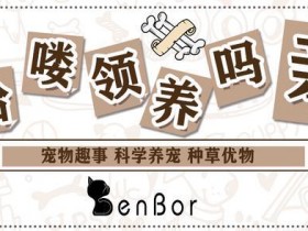 中华田园犬为什么禁养 (为什么土狗不能当宠物养)
