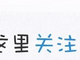 面包厢式运输车客车啥区别