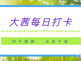 脚本怎么写(脚本怎么写20秒短视频)