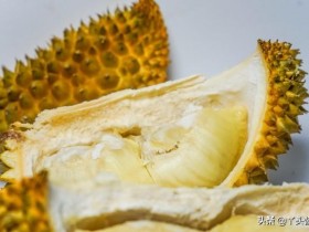 榴莲壳炖鸡的做法及功效简单介绍(榴莲壳炖鸡的做法及功效)