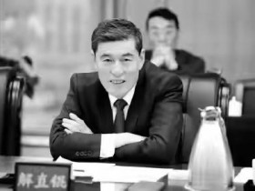毛阿敏老公个人资料(老公解直锟病逝,曾被毛阿敏倒追)