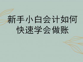 会计如何做账(新手会计怎么建账)
