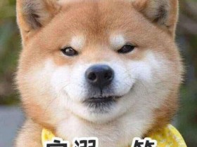 生日祝福语独特幽默