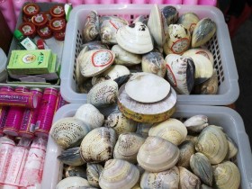 护手霜哪个牌子好用(国产护手霜哪个牌子好用)