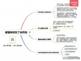 猫抓伤的死亡率为零(几率很小但真的存在)
