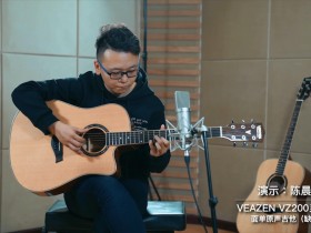 民谣吉他品牌十大排名(民谣吉他品牌十大排名儿童)