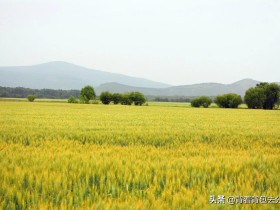 呼和浩特景点排行榜前十名(去过9处,才算真正的玩转内蒙古)