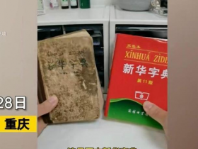 新华字典(《新华字典》引不满!)