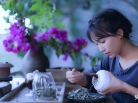 美食博主李子柒创业案例分析(美食博主李子柒介绍)