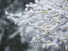 冬至有哪些习俗(冬至节气的传统习俗有哪些)