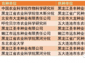合农95大豆种子简介(合农69大豆种子简介)