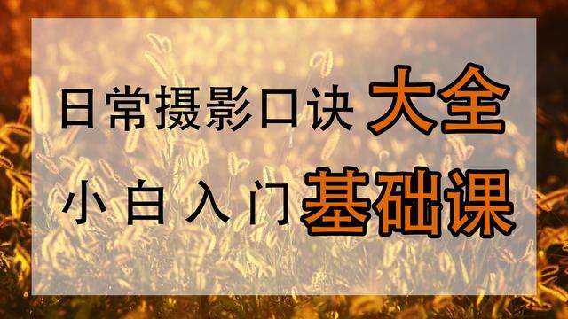 拍照片（摄影零基础，咋拍出好看照片）