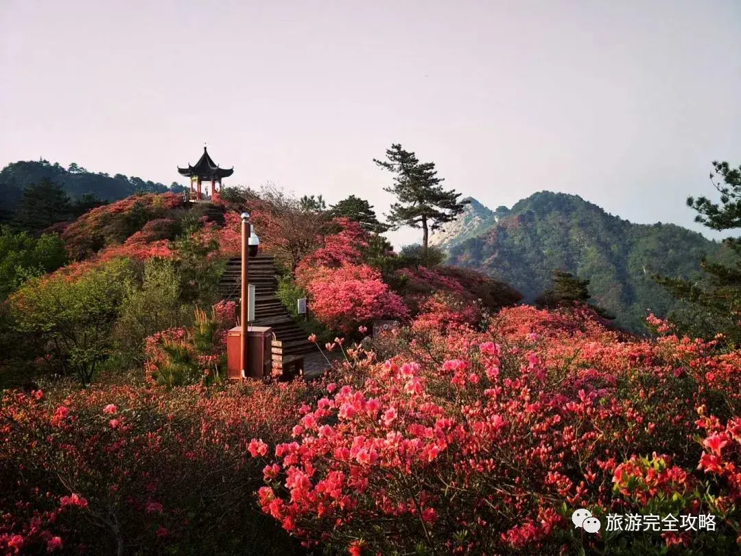 湖北有什么好玩的旅游景点(湖北有什么好玩的旅游景点)