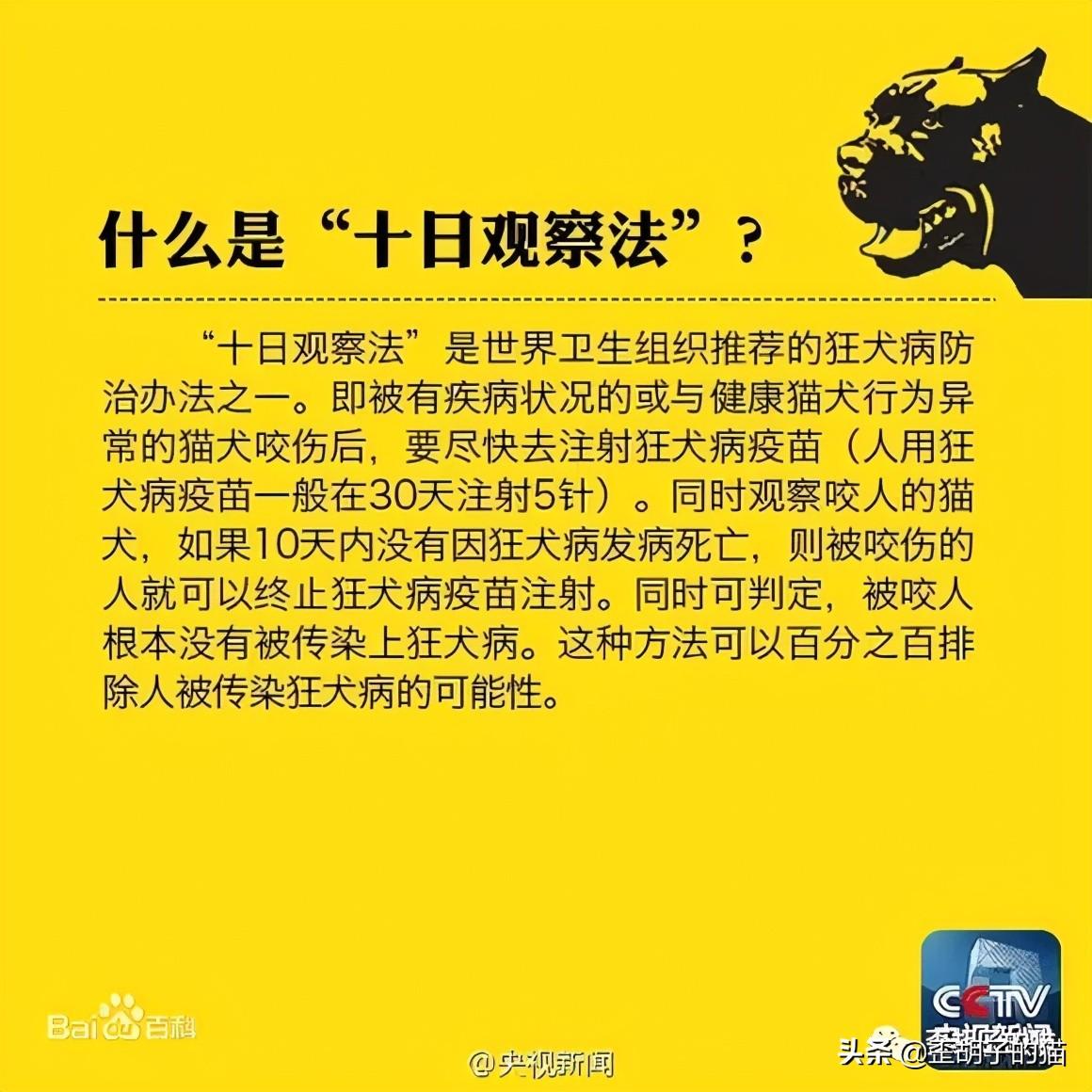 猫抓伤的死亡率为零(几率很小但真的存在)