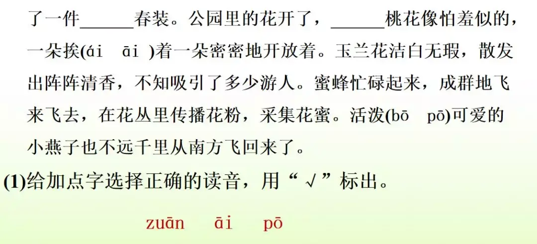 什么的小路(什么什么的小路填四字词语)