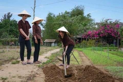 乡镇和街道有什么区别（乡镇和街道是平级的吗）