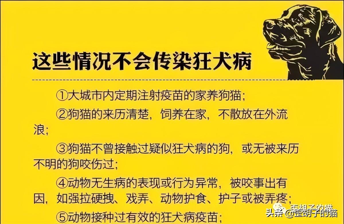 猫抓伤的死亡率为零(几率很小但真的存在)