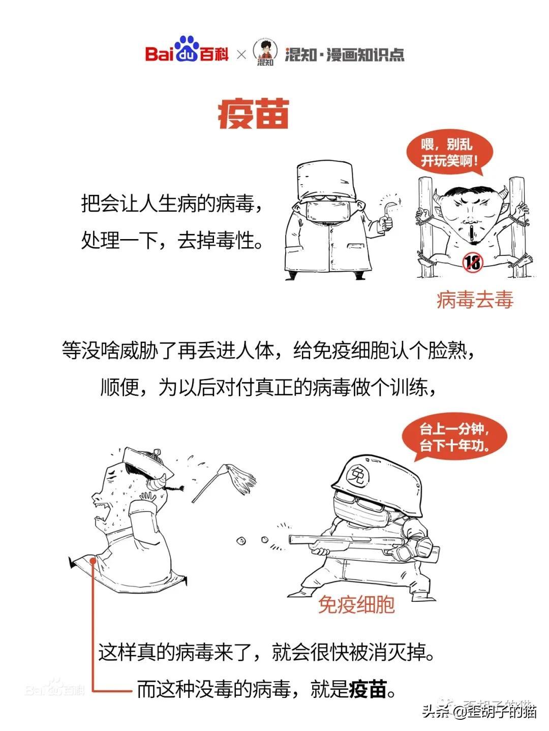 猫抓伤的死亡率为零(几率很小但真的存在)