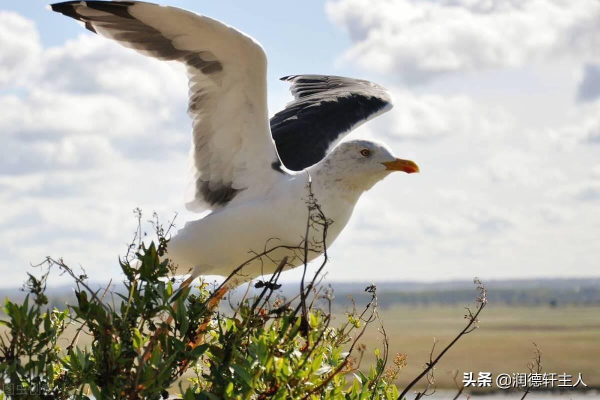 与时俱进是什么意思 与时俱进含义