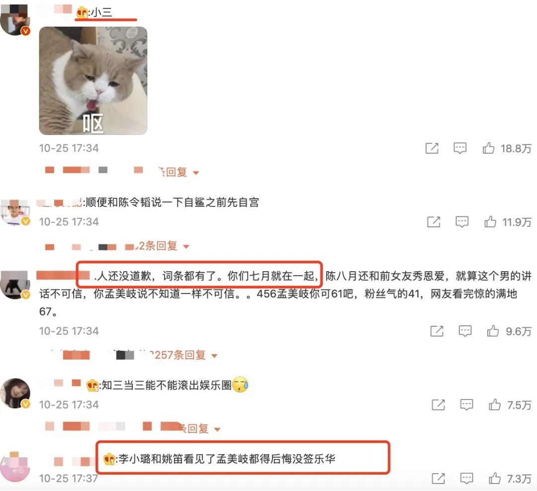 孟美岐456是什么意思（被曝当第三者，456成为网络热词）