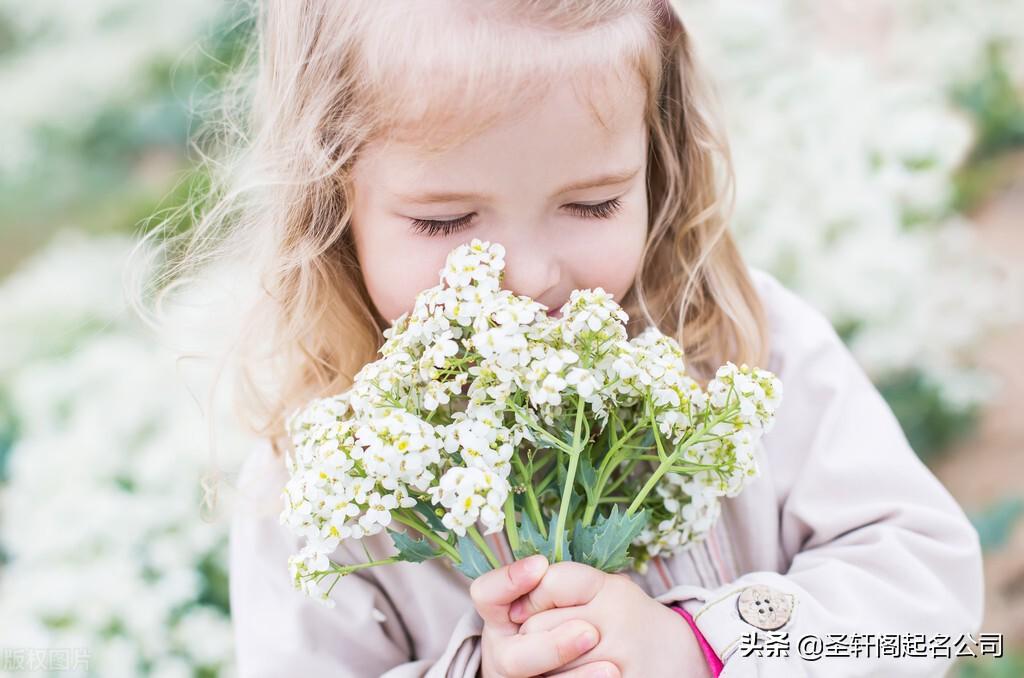 寓意好的女孩名字(寓意好的女孩名字吉利的字意)