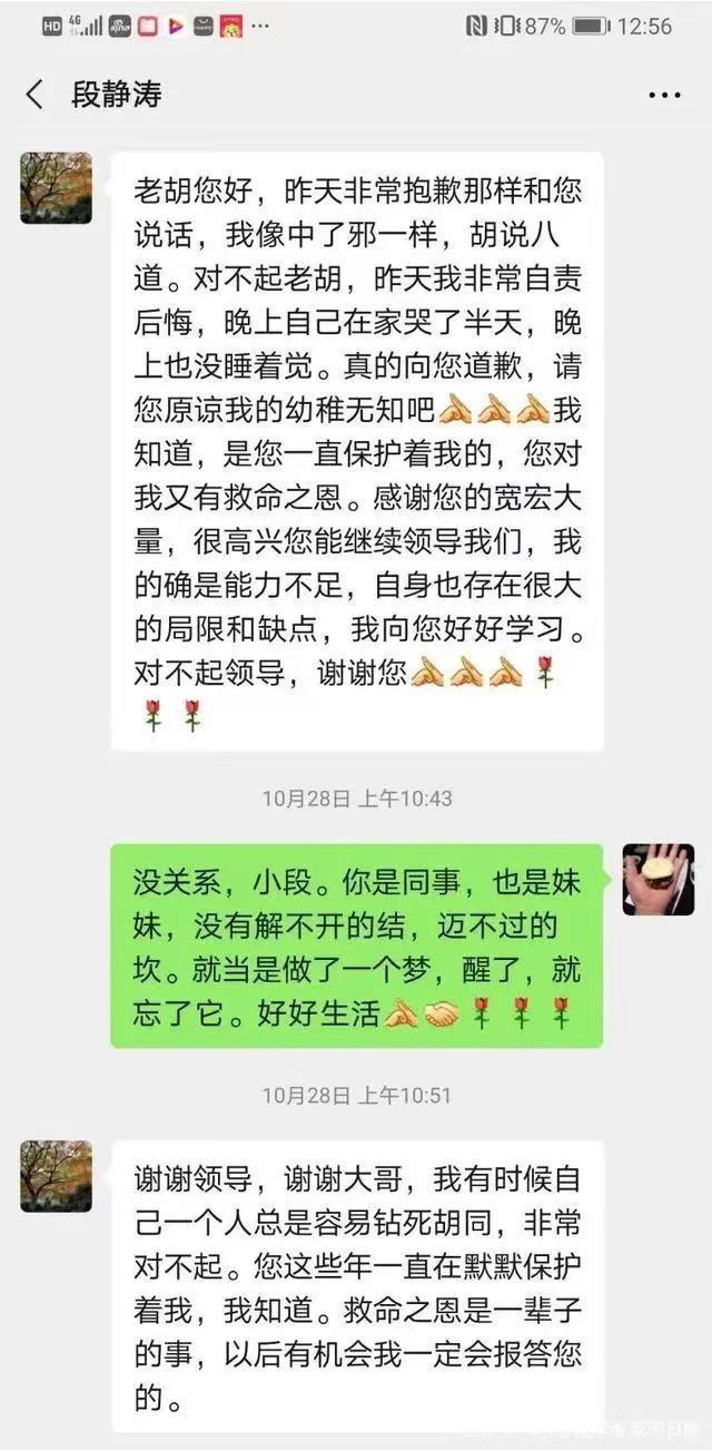 胡锡进是干什么的 胡锡进何人也