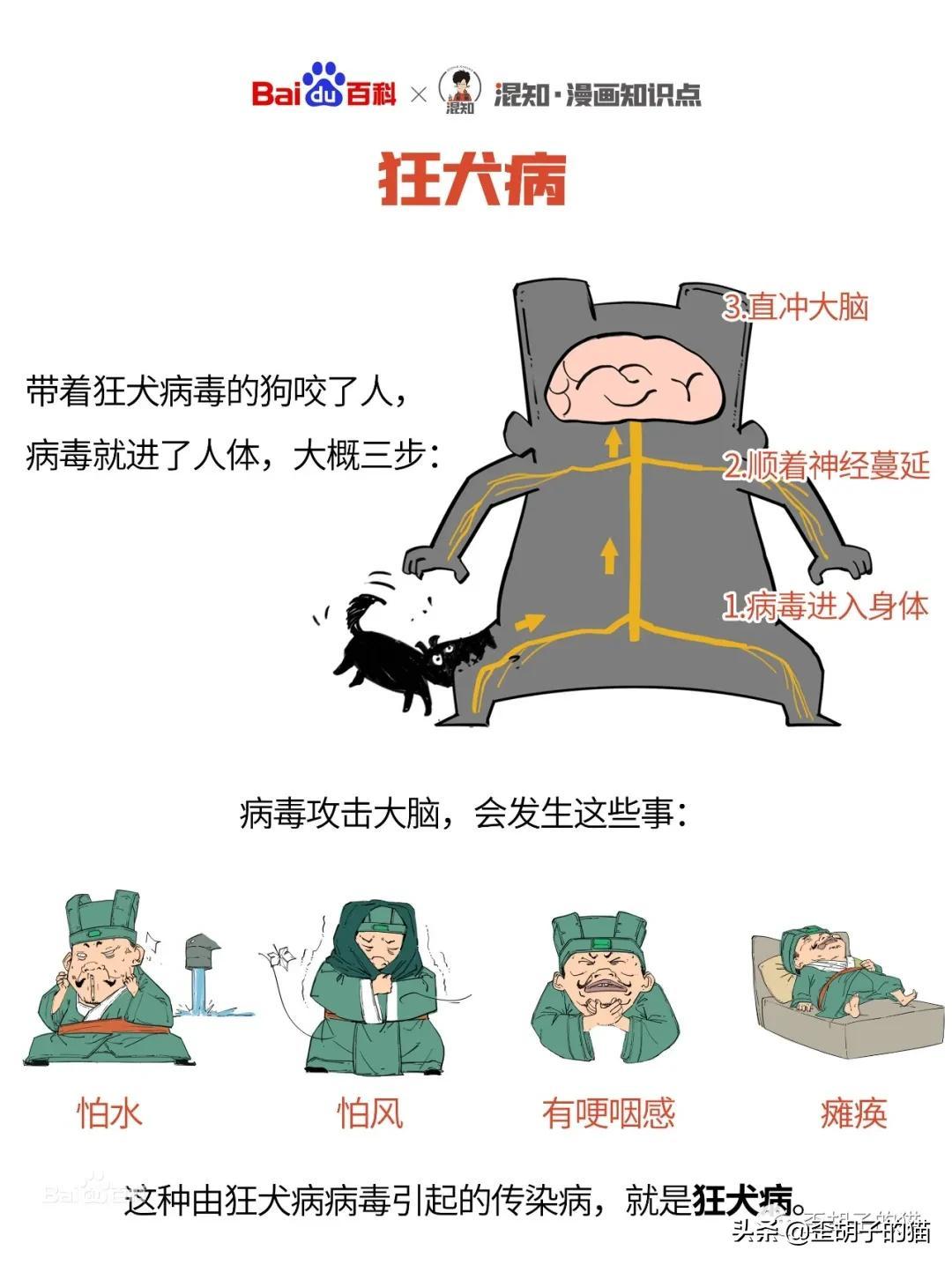 猫抓伤的死亡率为零(几率很小但真的存在)