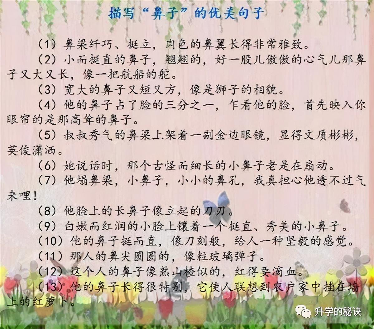 孩子期末复习孩子作文脱颖而出（词语+句子+常考小常识）