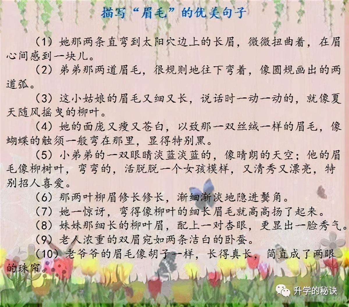 孩子期末复习孩子作文脱颖而出（词语+句子+常考小常识）
