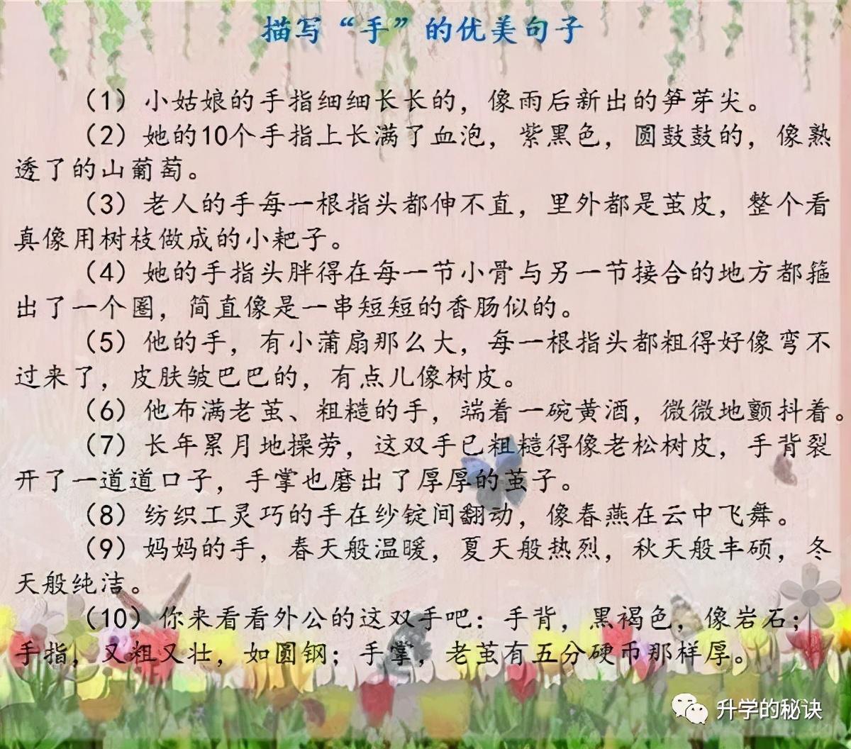孩子期末复习孩子作文脱颖而出（词语+句子+常考小常识）