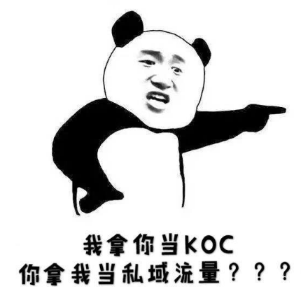 好文：koc推广是什么意思（私域流量KOC详细介绍）