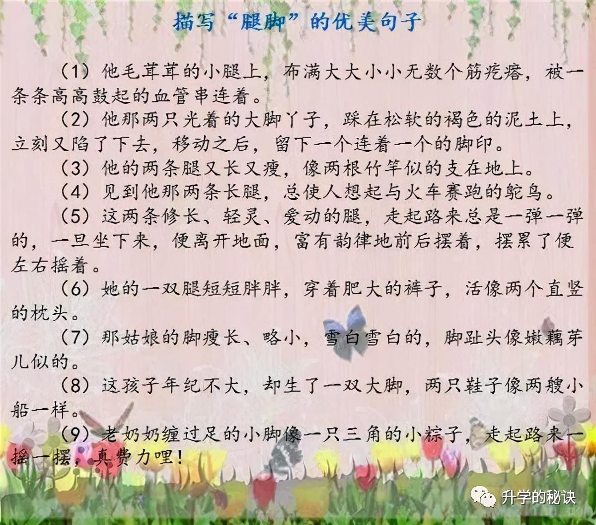 孩子期末复习孩子作文脱颖而出（词语+句子+常考小常识）