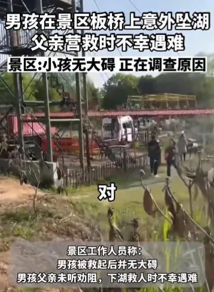 男童景区落水，父亲营救时不幸溺亡