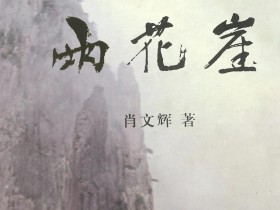 长篇小说《雨花崖》连载25( 第七章 一、“风向”发生变化 2)